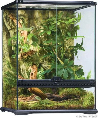 Exo Terra Terrarium szklane SMALL, 45x45x60cm