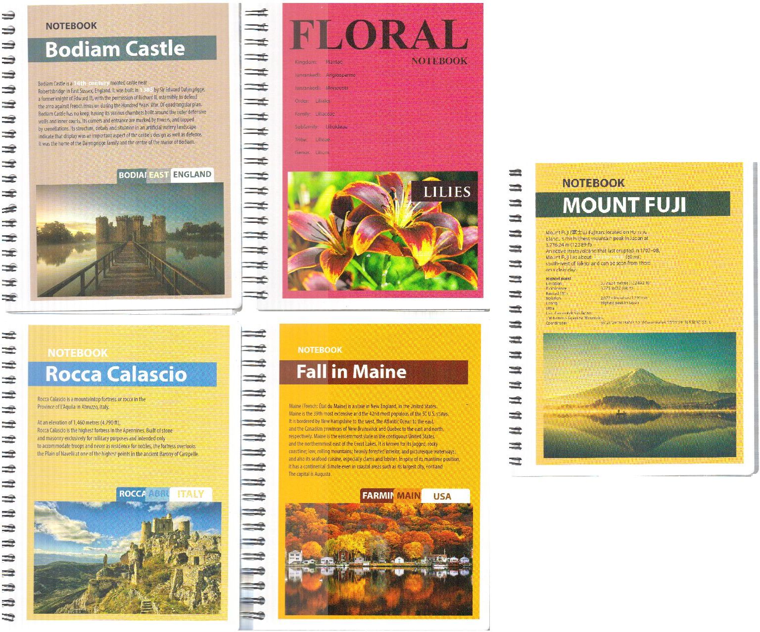 Fresh KoĹ‚onotatnik B6 96 stron kratka