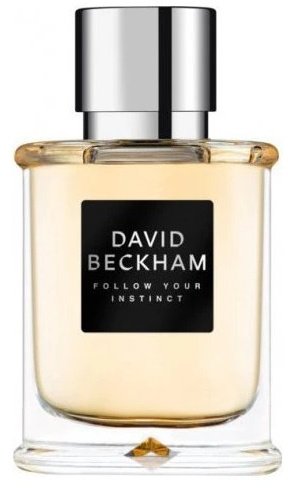 David Beckham Follow Your Instinct EDT spray 50ml