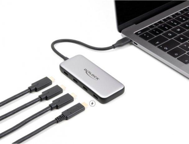 HUB USB Delock DeLOCK USB 10 Gbps USB Type-C Hub with 4 x USB Type-C, USB hub (grey)