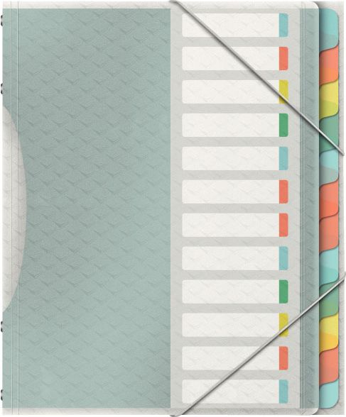 Esselte TECZKA SEGREGUJĄCA COLOUR`ICE 12 PRZEKŁADEK