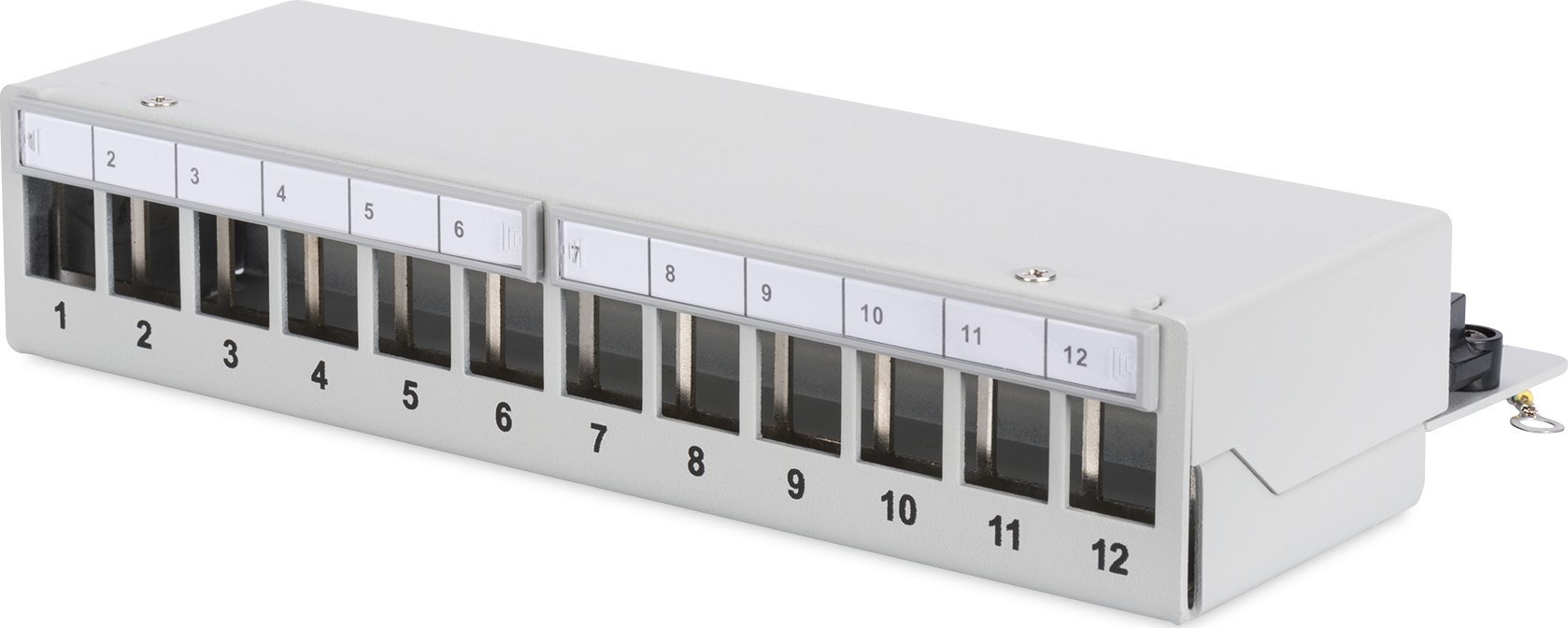 Digitus Desktop Patch Panel,12-Port
