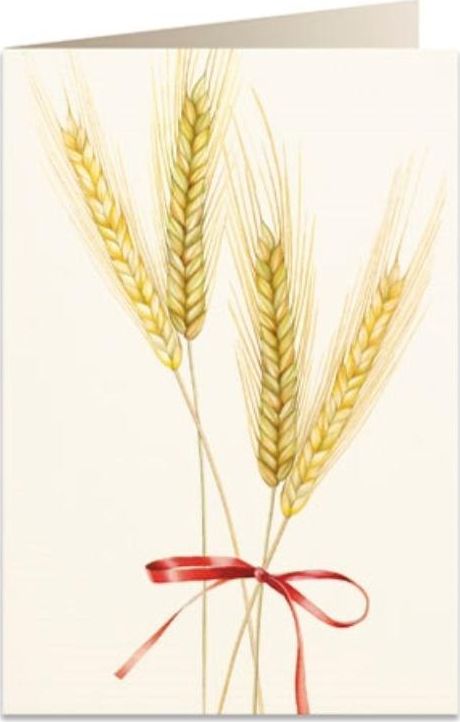 Tassotti Karnet B6 + koperta 5717 Pszenica