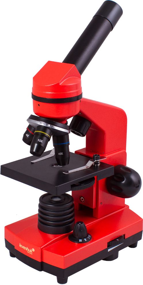 Mikroskop Levenhuk Mikroskop Levenhuk Rainbow 2L Orange\Pomarańcza