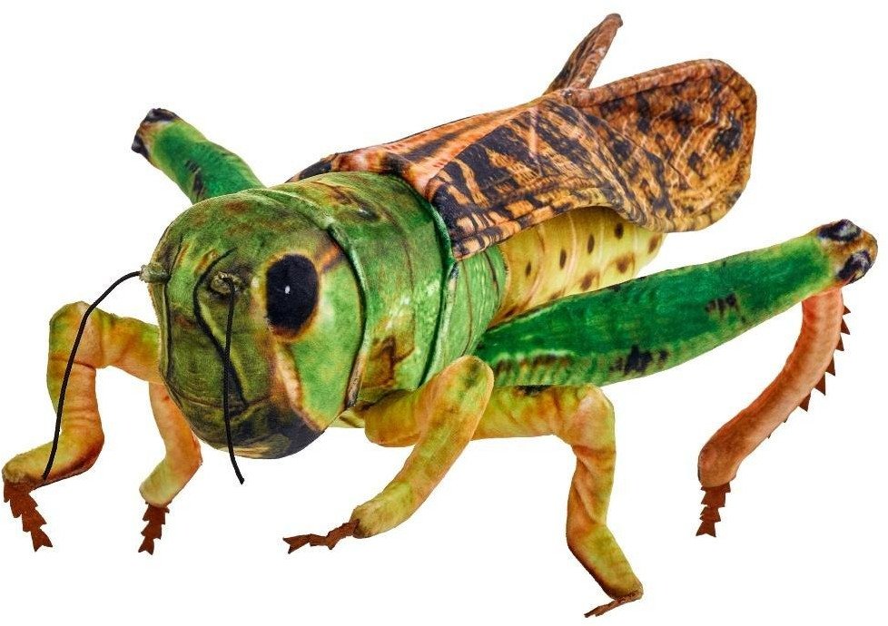 Beppe Konik polny 41cm