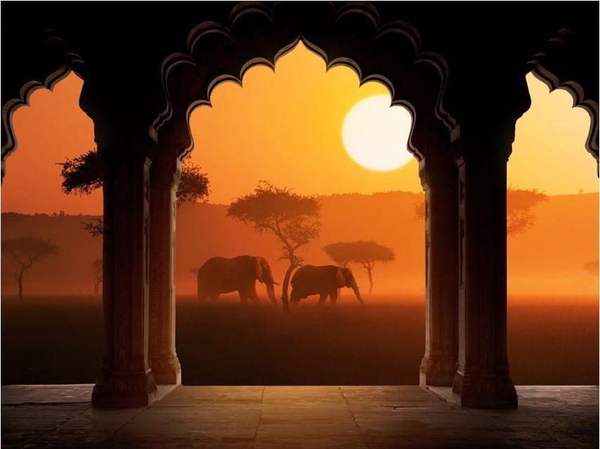 DecoNest Fototapeta - Usłyszeć Afrykę - 250X193