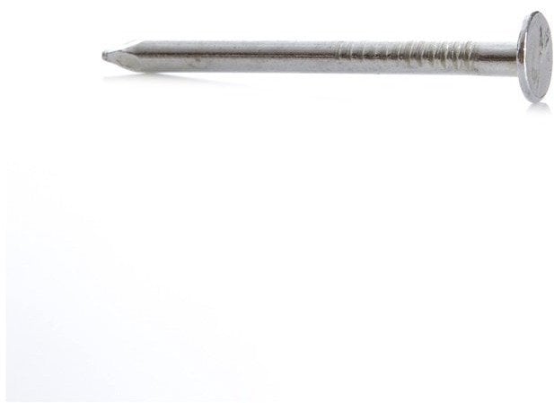 CASING NAILS 2.0X25 300G