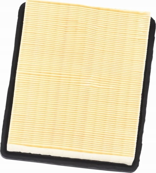 Dedra Filtr HEPA do DED6607