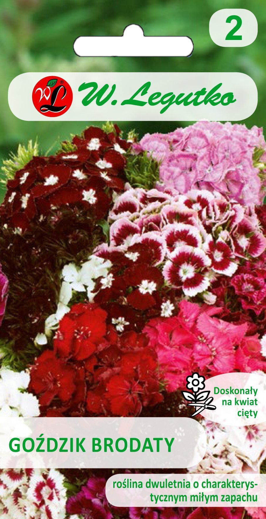 Legutko Nasiona Goździk brodaty mieszanka, 1g