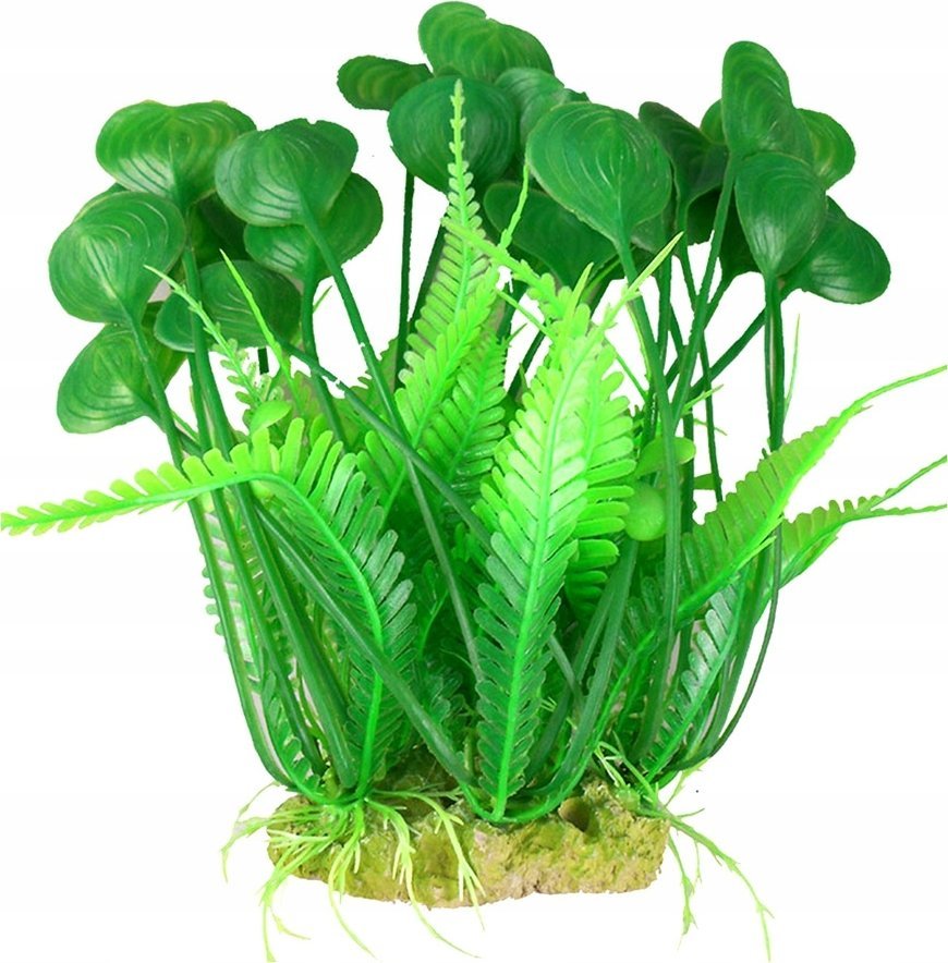 Aqua Nova AQUA NOVA ROŚLINA PLASTIKOWA 25 cm NP-25 6007-R