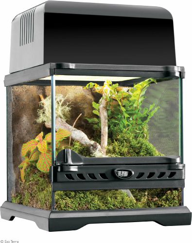 Hagen EXOTERRA TERRARIUM SZKLANE 20x20x20