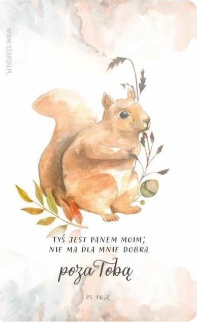 Szaron Magnes na lodówkę - wiewiórka