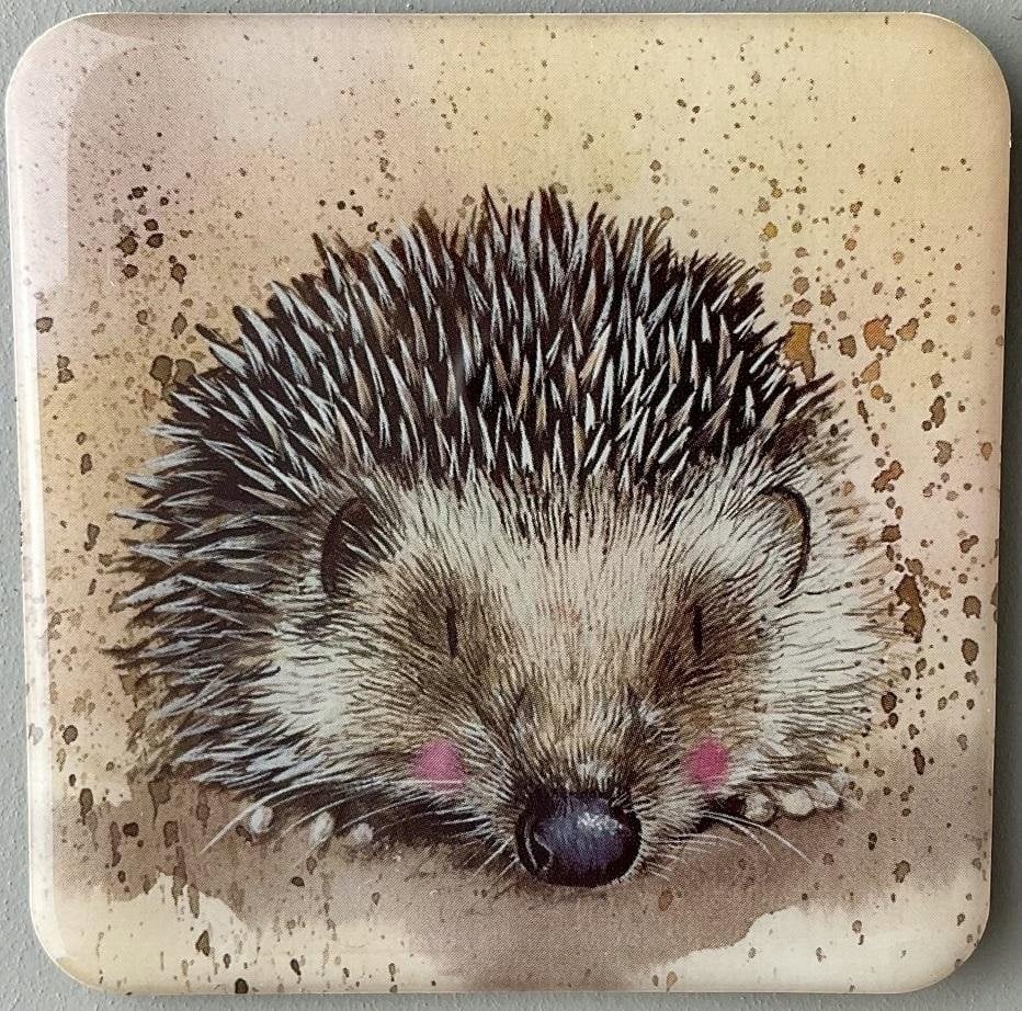 Teka Magnes FM188 Jeż Harriet