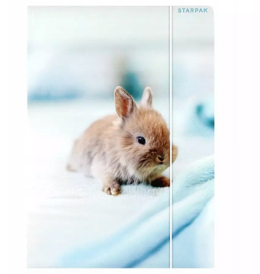 TECZKA Z GUMKA PAP A4 KROLIK STK FOL10/100