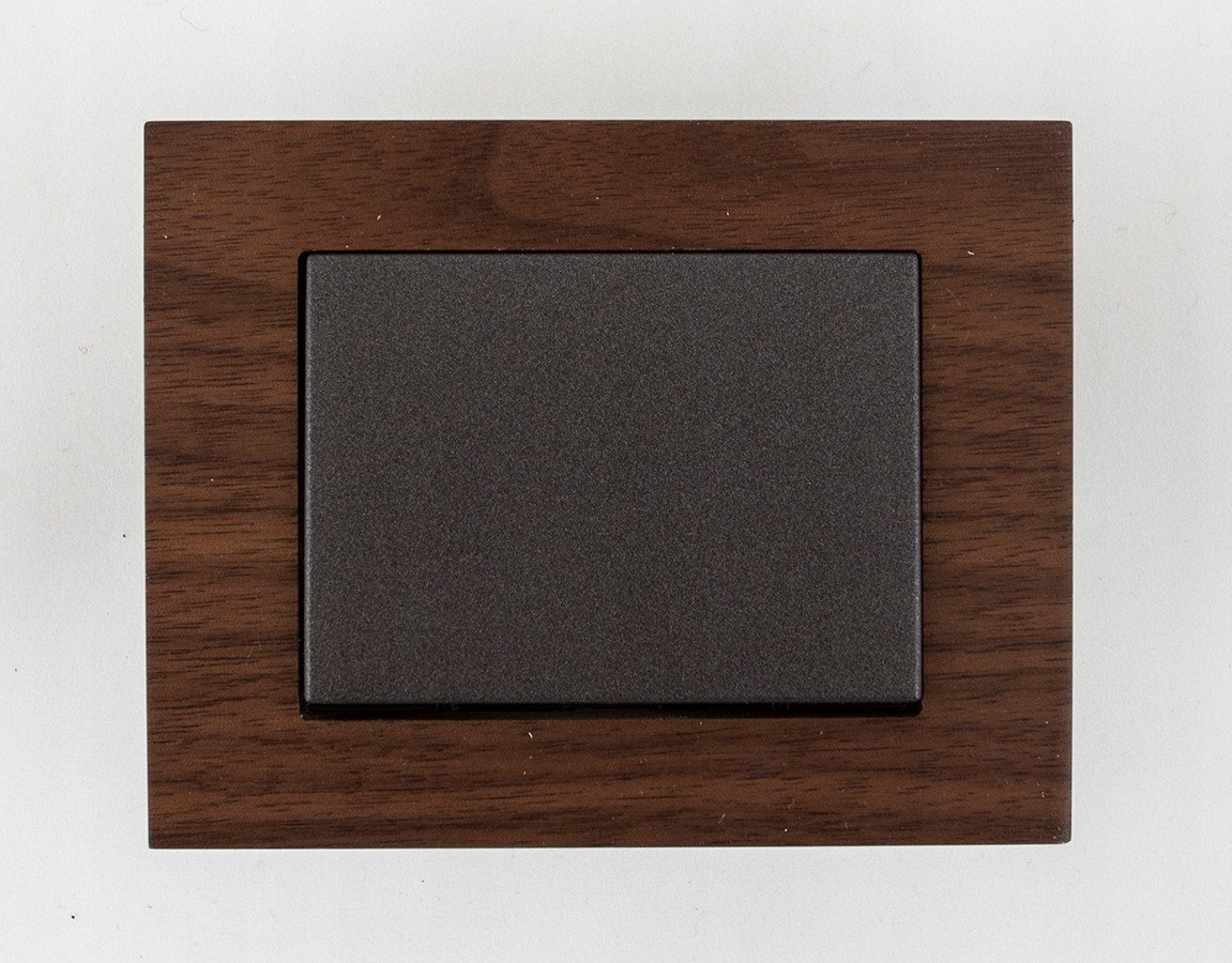 CHANGEOVER SWITCH FLUSH NOFRAME ANT XP