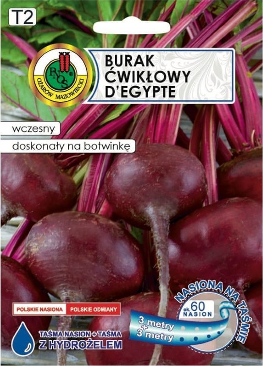 Burak ćwikłowy D EGYPTE taśma 6 m Wczesna i plenna odmiana egipska