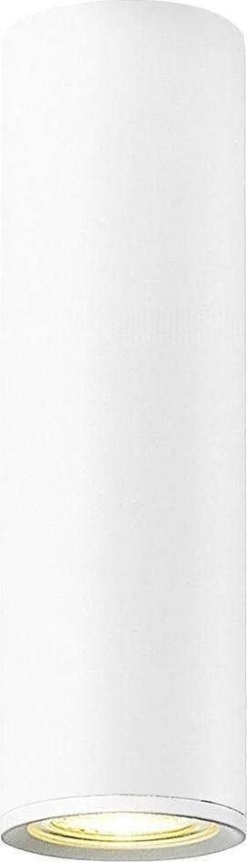 Lampa sufitowa Zuma Line Oprawa natynkowa spot LOYA C0461-01B-A0S8 Zuma Line