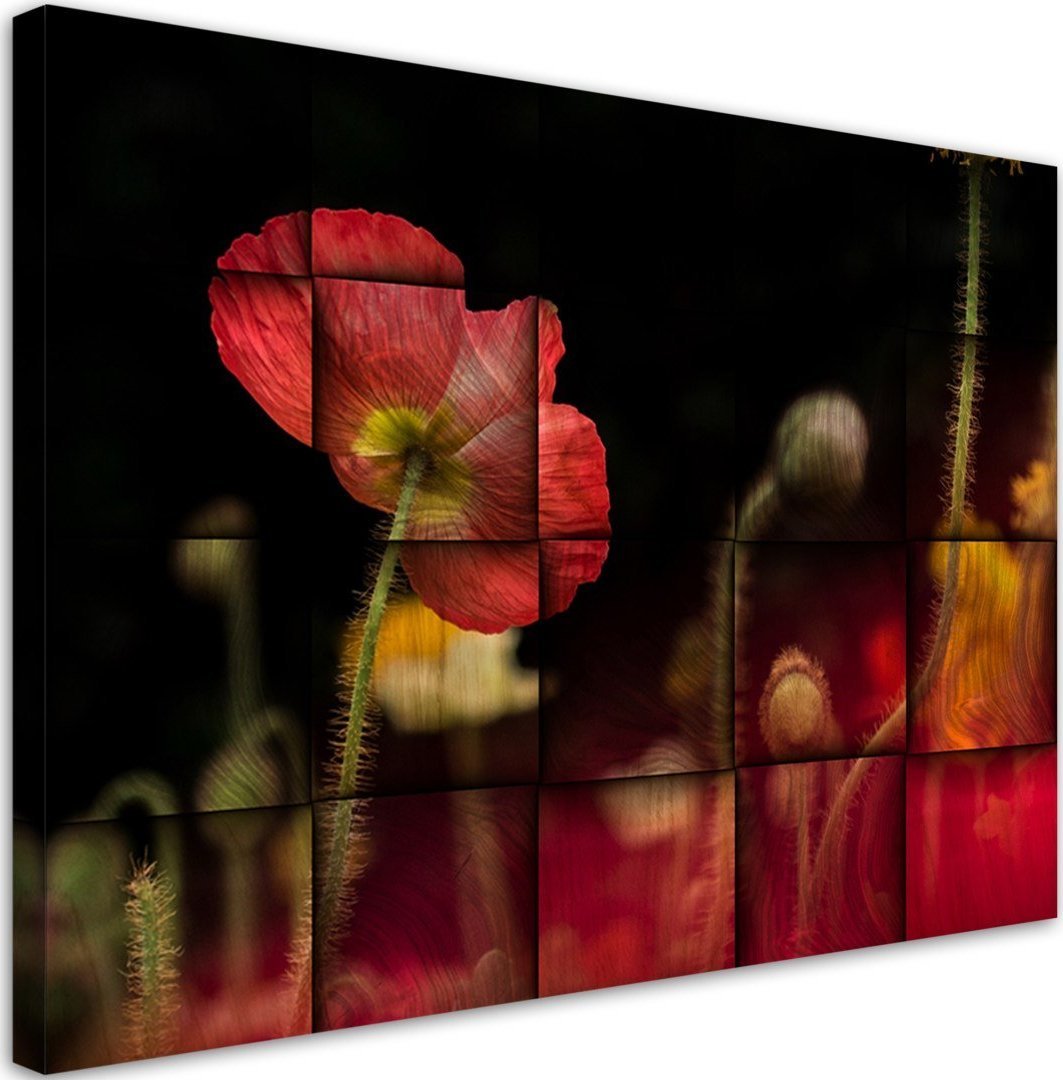Feeby Obraz na płótnie, Czerwony kwiat maku - 120x80
