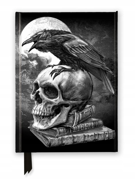 Notatnik A5 linia TW Kruk i czaszka Alchemy