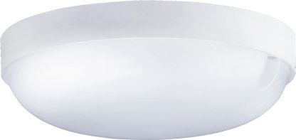 Fronius Plafoniera zewnętrzna SMD LED MARKUS LED C 12W 4500K IP65 IDEUS 5112