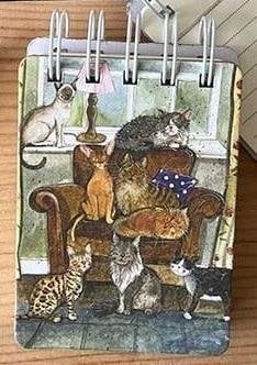 Teka Kołonotes A7 SSN60 Dom pełen kotów