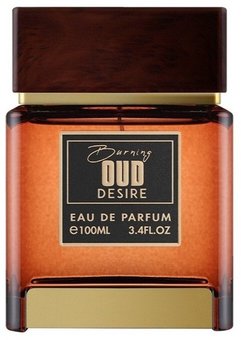 Flavia Burning Oud Desire woda perfumowana spray 100ml