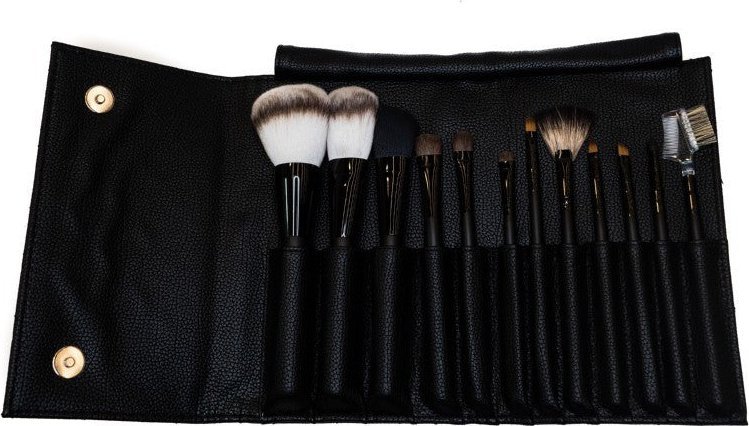 Fujitsu Osom Professional Teptukų rinkinys vizažistams 12vnt, PF0082TY-12P