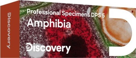 Mikroskop Discovery Zestaw mikropreparatów Discovery Prof DPS 5. Płazy
