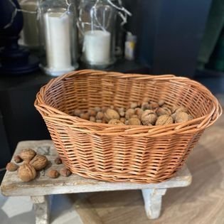 Wnuk Tacka wysoka (Naturalna/35cm)