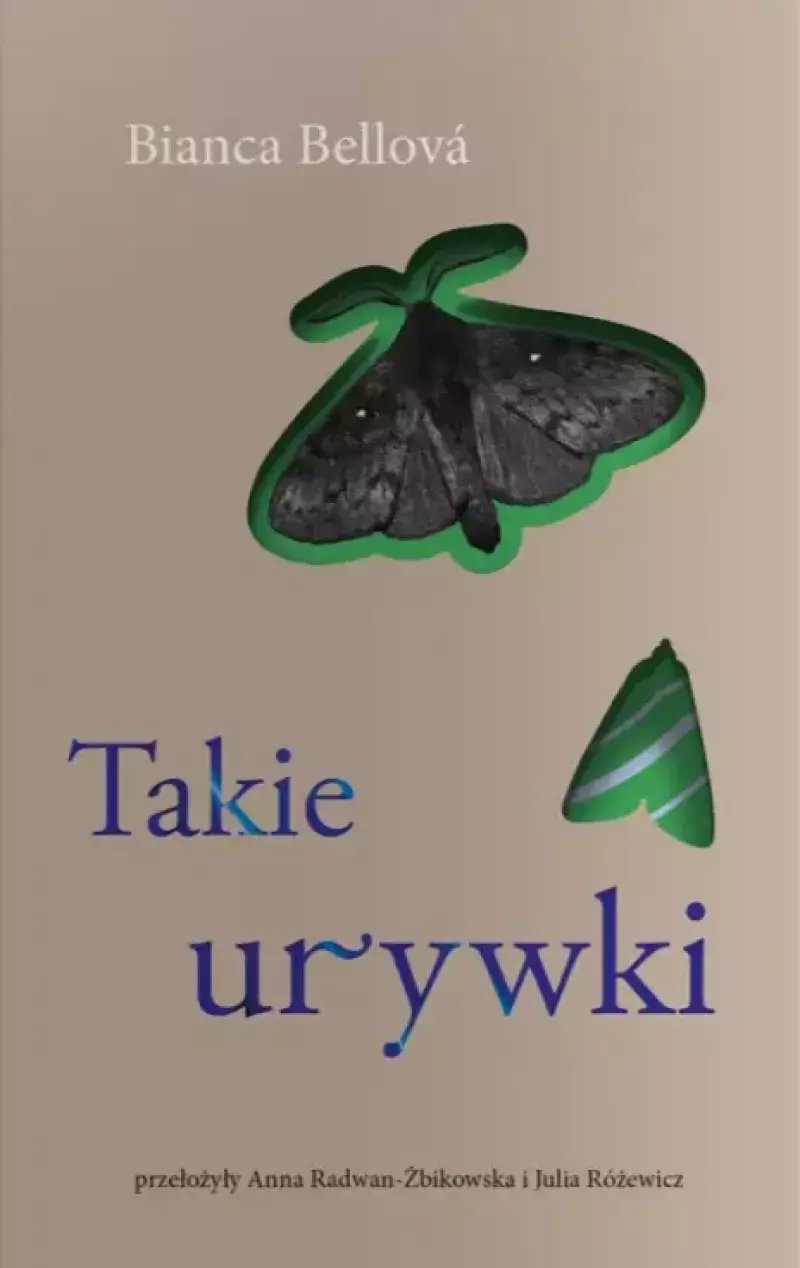 Takie urywki