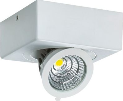 Lampa sufitowa IDEUS Plafoniera LED 6W 4000K IP20 IGOR LED D 1275