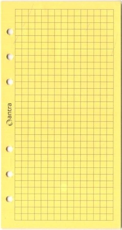 Antra Wkład do organizera ST/kratka żółta