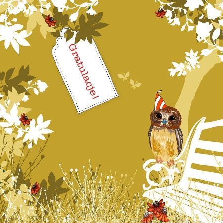 Clear Creation Karnet Swarovski kwadrat CL3410 Gratulacje! Sowa