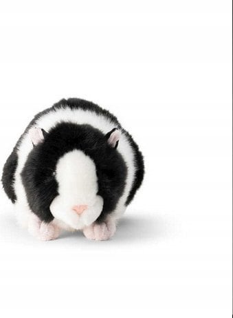 Teka Pluszowa świnka morska