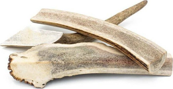 4DOGS 4Dogs Easy Jeleniówki Gryzak Dla Psa Z Poroża XXL 20cm