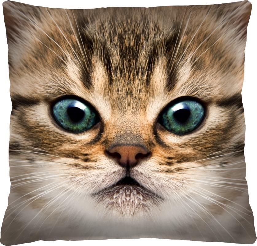 Bertoni-arco Poduszka - Gapcio - 40x40 cm