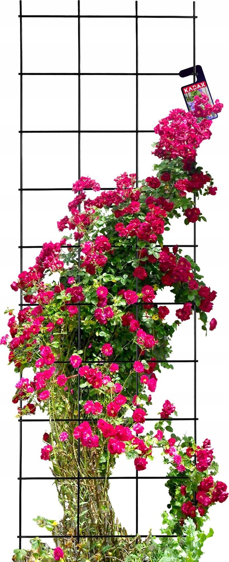 Kadax Drabinka Krata Ogrodowa Do Kwiatów Metalowa 49x155