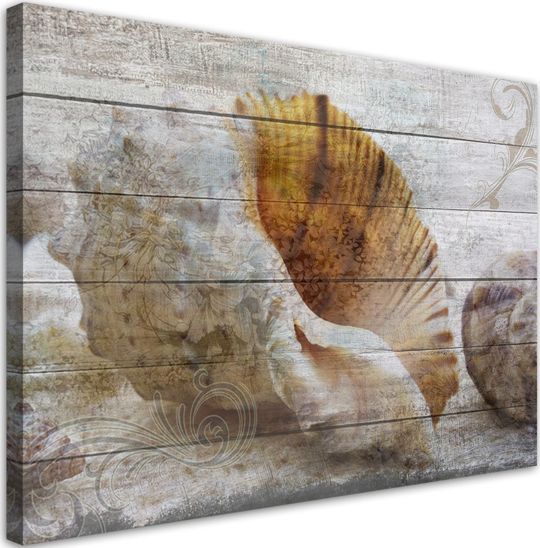 Feeby Obraz na płótnie, Muszle w stylu vintage - 120x80