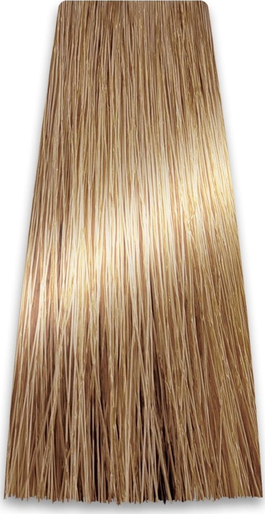 Chantal Prosalon Professional Intensis Color Art Profesjonalna Farba do włosów nr 9.0 jasny blond 100g