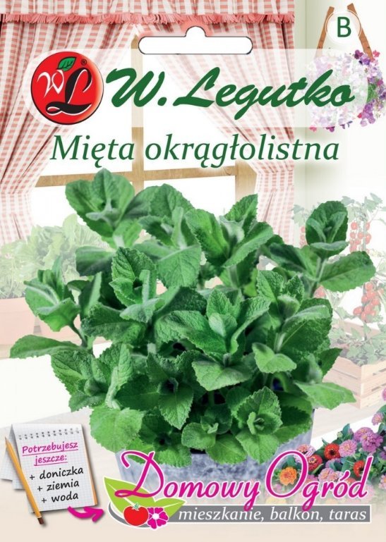 Legutko Nasiona Mięta okrągłolistna, 0,1g