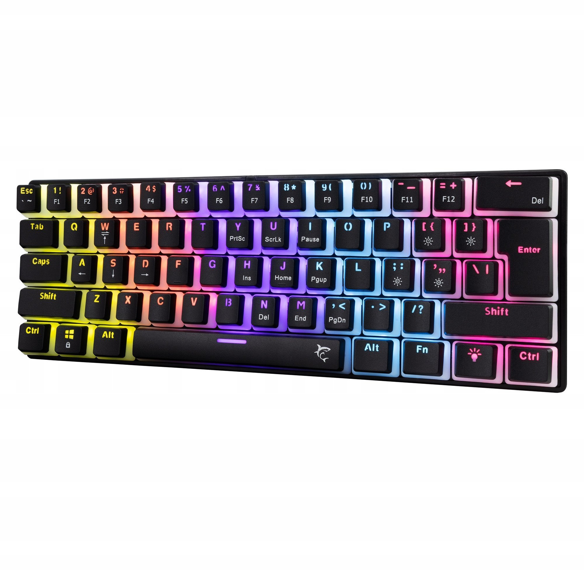 White Shark Ashiko-2 black US