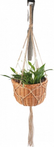 Wnuk Kwietnik wiszący (Boler/30cm)