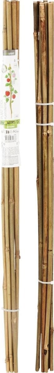 PODPORA DO ROŚLIN BAMBUSOWA TYCZKA 10SZT PROGARDEN