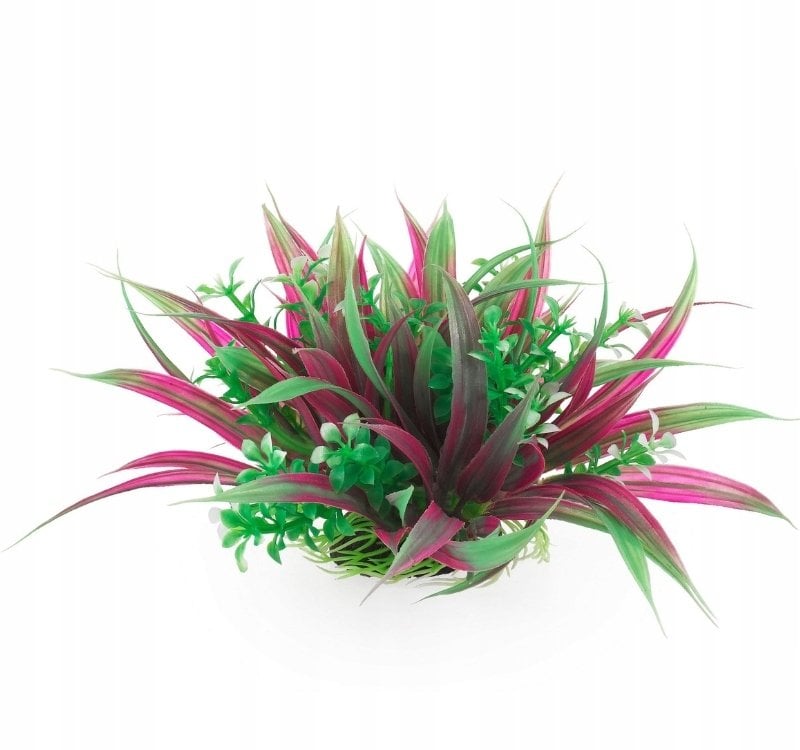 Terra Natura roślina do dekoracji akwarium zielono-fioletowa plastikowa 10 cm oplątwa