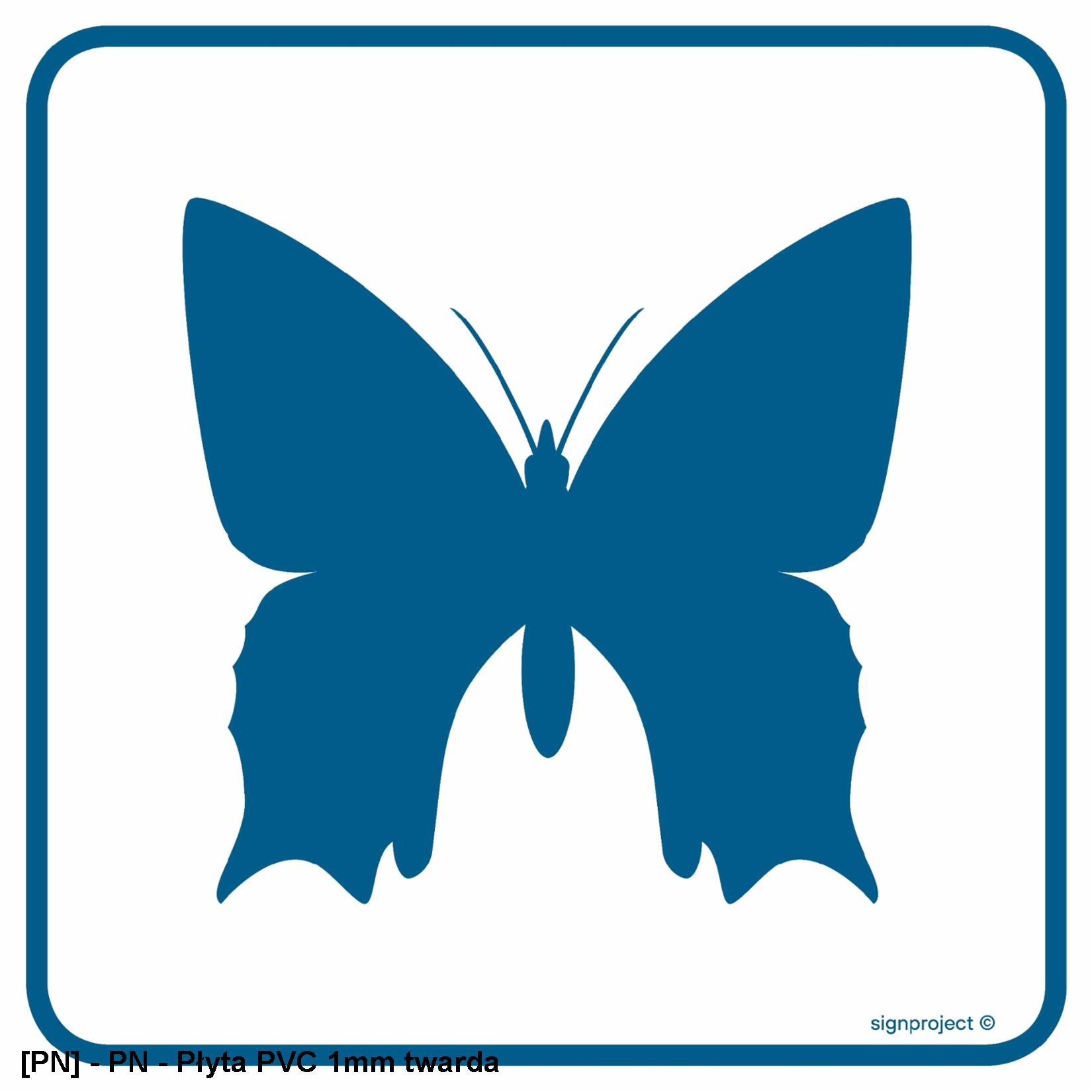 RA099 - Rzadkie okazy motyli 300x300