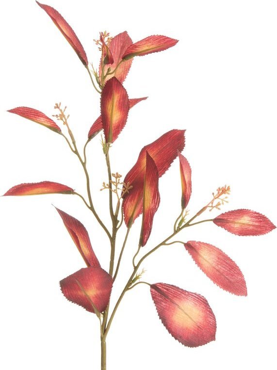 Eurofirany KWIAT NATU 453