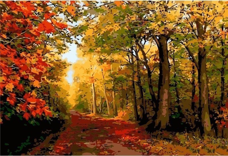 Norimpex *****Diamentowa mozaika Las jesień 1007770***