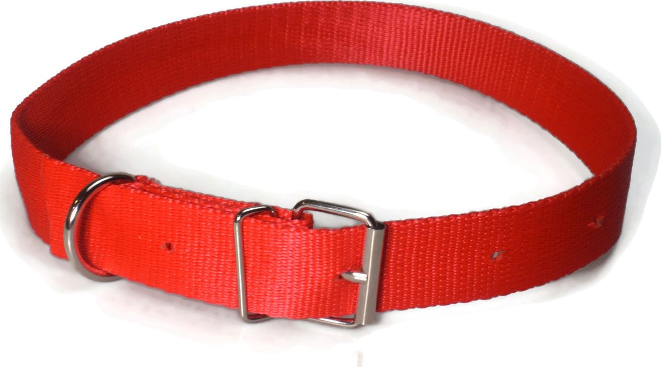 Alizoo Obroża dla dużego psa 30mm/48-67cm z metalową klamerką - ALIZOO