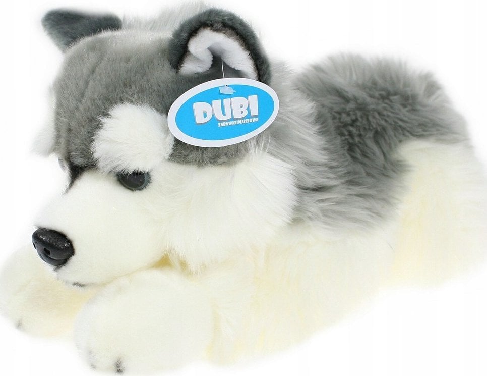 Pies husky 42cm 32041