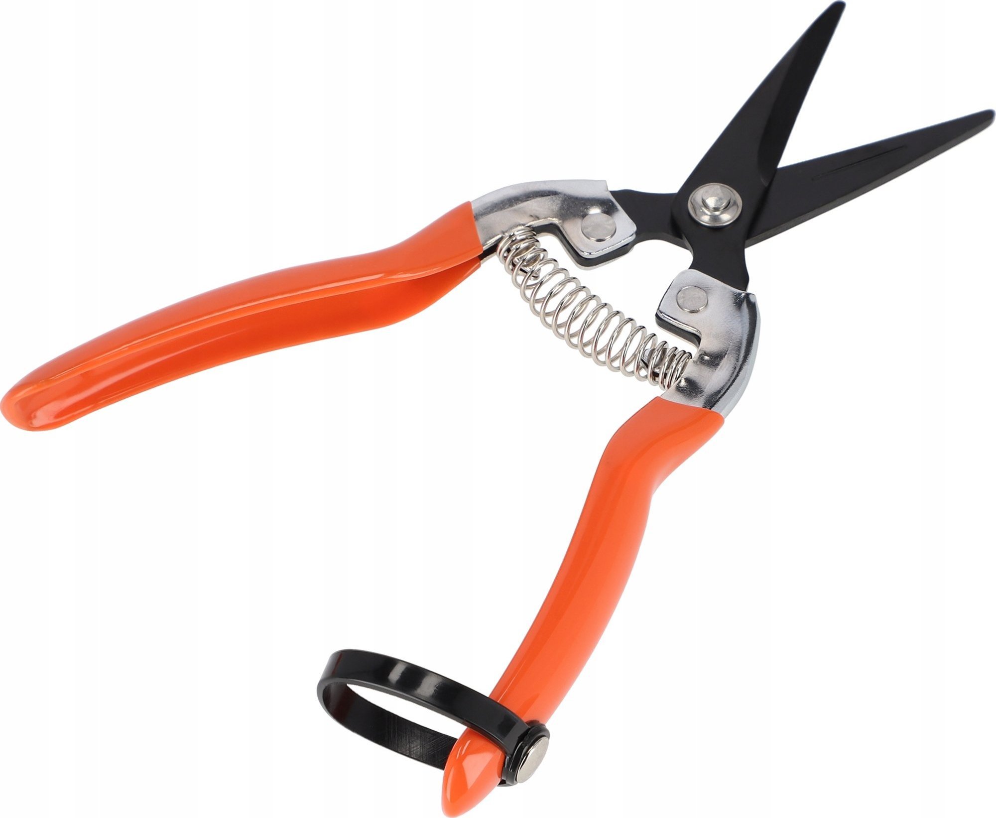 Sekator Kadax do zawiązków